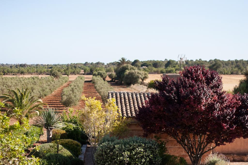 Finca Agroturismo Can Carro Campos  Buitenkant foto